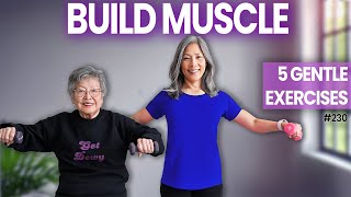 15Min Full Body Senior Workout Low Impact Isometric Exercises [upl. by Zitella]