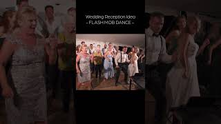 Wedding Reception Idea  FLASH MOB [upl. by Htebzil525]