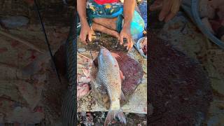 Most Expensive amp Popular Giant Rohu Fish Cutting Live Fish Market 🤭 Episode328 shorts [upl. by Ixel]