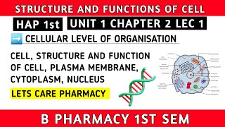 Cell Structure and Function  Human anatomy and physiology1 L 1  Unit 1  hap b pharmacy 1st sem [upl. by Sperry52]