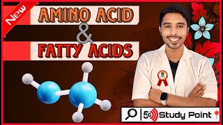 Amino Acids amp Fatty Acids A Comprehensive Guide‼️5G Study Point‼️By Ravinder ‼️ biology education [upl. by Elvina]