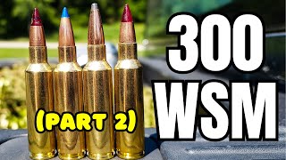 300 WSM Ammo Test Part 2 Savage 110 Trail Hunter [upl. by Bruell]