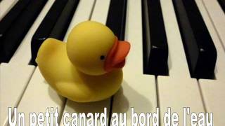 Un petit canard au bord de leau [upl. by Tegdirb]