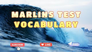 Marlins Test For Seafarer  Vocabulary [upl. by Olinde]