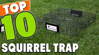 Best Squirrel Trap In 2024  Top 10 Squirrel Traps Review [upl. by Rahman]