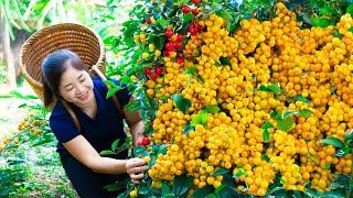 Harvest Oleaster amp Goes To Market Sell  Harvesting And Cooking  Lý Song Ca [upl. by Chong]