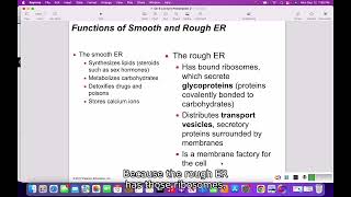 62 Eukaryotic Organelles [upl. by Haden]