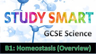 B1 Homeostasis Overview EDEXCELAQA [upl. by Nesyt]