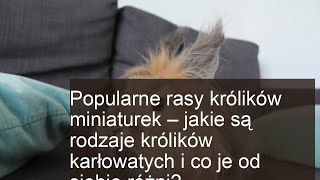 Najpopularniejsze rasy królików miniaturek i karłowatych [upl. by Tabby]