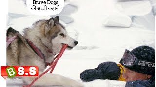 Eight Below Movie ReviewSummary In HindiUrdu [upl. by Yannodrahc]