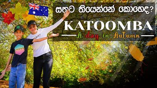 සරත් සමයේ 🍁🍂ලස්සන බලන්න අපි ගිය ගමන 🍁🌿l Life in Australia I Sinhala Travel Vlog [upl. by Gillie22]