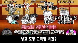 냥코대전쟁 냥코도장 절체절명대회고득점 비결은상위1중 1가 되는길 [upl. by Rehsu762]