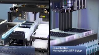 How to set up a photometric assay for dsDNA quantitation Multiskan Sky Microplate Spectrophotometer [upl. by Melonie]