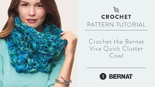 Crochet the Bernat Viva Quick Cluster Cowl [upl. by Cy310]