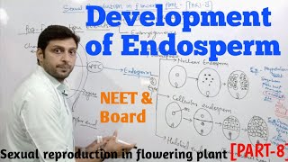 Endosperm development in plants endosperm class12th BIOVEDACLASSZ [upl. by Aig]