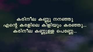 Karineela Kannulla Penne കരിനീലക്കണ്ണുള്ള പണ്ണ്  Song With Lyrics  Melodious Songs [upl. by Llemor]