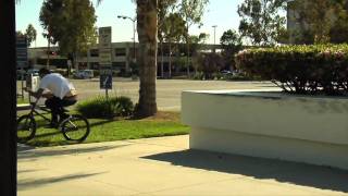 Eclat BMX  Ashley Charles Edit [upl. by Schuman]