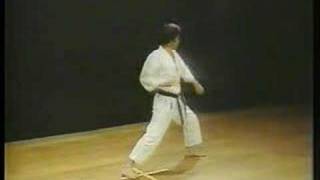 06 KATA SHORINRYU Matsubayashi Pinan Shodan [upl. by Eesdnyl89]