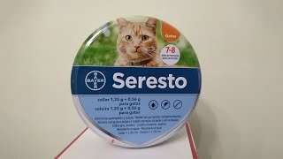 seresto cat flea collar review in 2023 [upl. by Beka]