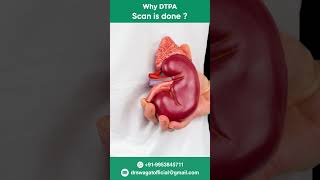 DTPA Scan क्यों करवाया जाता है DTPA Scan  Dr Swagat Dash shorts [upl. by Pulcheria]