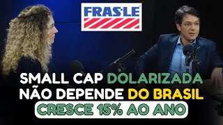 Frasle FRAS3 Small Cap de Crescimento com Receita Dolarizada [upl. by Ardnaiek]