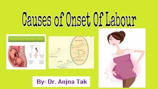 Causes of Onset of Labour By Dr Anjna Tak [upl. by Lindy]