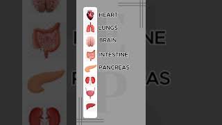 HOW TO PRONOUNCE ORGANS PART 1 english britishaccent shortsyoutube vocabularywords [upl. by Staw]