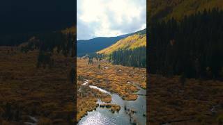 Breckenridge Autumn Colors [upl. by Marino]