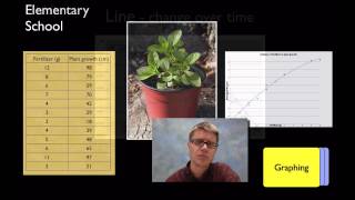 Practice 4  Analyzing and Interpreting Data [upl. by Ishii]