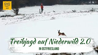 Treibjagd auf Niederwild in Ostfriesland 20  ein herrlicher Jagdtag mit guter Strecke [upl. by Acimehs]