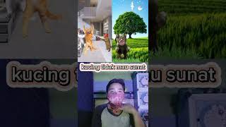 KUCING NANGIS TAKUT DI SUNAT shorts funny reaction [upl. by Yremogtnom]