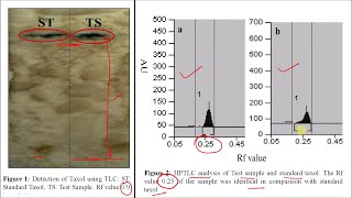 Taxol Part 02  Industrial Production Isolation Method Estimation and Utilization Part 14 [upl. by Orsini]