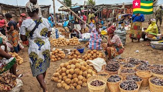 COST OF LIVING IN TOGO WEST AFRICA 2024 MY 40 MONTHLY SHOPPING IN THE BIGGEST MARKET [upl. by Oryaj732]