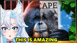 The Ultimate Escape Artist The Ape That Couldnt Be Contained  Joeseppi React [upl. by Ahseen]