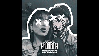 Gera MX amp Nanpa Basico  Prohibida Ft LevelGang  challenge [upl. by Sabrina]