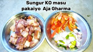 pailo Chote sungur pick  KO masu cooking Gareko Aja Ghar ma 🐖🐷🐖Yamy👌babll Vayo [upl. by Petua888]