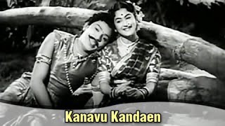 Kanavu Kandaen  S S Rajendran S Varalakshmi  Sivagangai Seemai  Tamil Romantic Song [upl. by Dorelia]