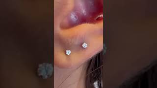 Referência em piercing em Salvador  BA piercingspiercingcartilagem piercing prata [upl. by Yk36]