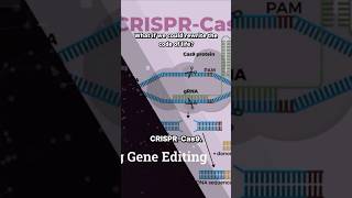 Code of life CRISPRCas9 gene [upl. by Larue]