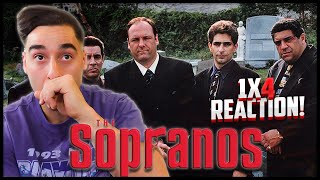 FILM STUDENT WATCHES THE SOPRANOS s1ep4 for the FIRST TIME Meadowlands Reaction [upl. by Nilkoorb360]