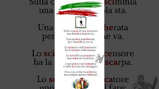 Итальянские скороговорки для отработки навыков чтения shortscioglilinguaSulla coscia di una scimmia [upl. by Airbmac]