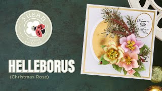 Spellbinders Helleborus Christmas Rose by Susan TierneyCockburn HowTo [upl. by Pavier]