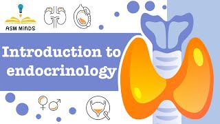 1Introduction to Endocrinology by ASM Minds Team [upl. by Januisz]