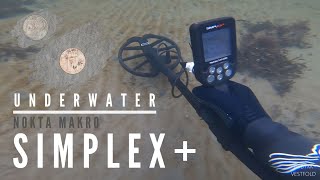 Nokta Makro Simplex DOES IT WORK IN SEAWATER Metal Detecting Underwater [upl. by Erminie]