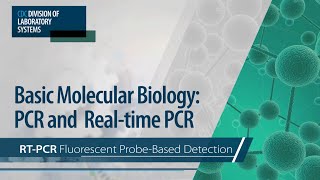 Basic Molecular Biology PCR and RealTime PCR – RTPCR Fluorescent ProbeBased Detection [upl. by Attenrev]