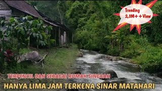 INI DIA Kampung TERPENCIL di HUTAN WILIS MADIUN Hidup di desaSuasana Desa [upl. by Madson]