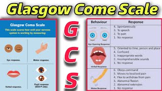 GCS  Understanding Glasgow Coma Scale A Comprehensive Guidequot  Tutor Hanif khan [upl. by Sikorski]