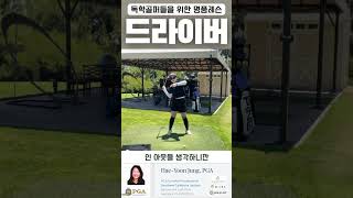 정쌤의 골프레슨드라이버 레슨받고 가세요 golf pelicanhill pgaclassa 골프 골린이 golfswing 골프레슨 golftips [upl. by Eitsyrk758]