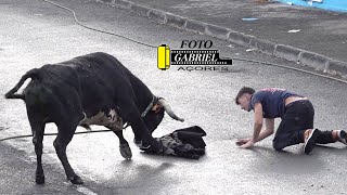 05102024 Tourada à Corda São Mateus Ganadeiro HF AÇORES [upl. by Leclair343]