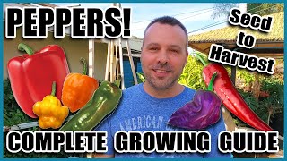 Pepper Growing Tips  Complete Gardening Guide on How to Grow Peppers  Grow More Peppers per Plant [upl. by Ahsenyl560]